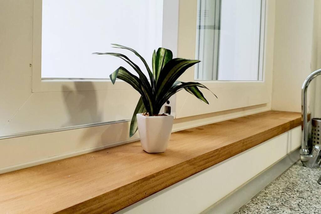 Apartamento Interior En Absoluto Centro En Algeciras 1º A المظهر الخارجي الصورة